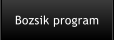 Bozsik program